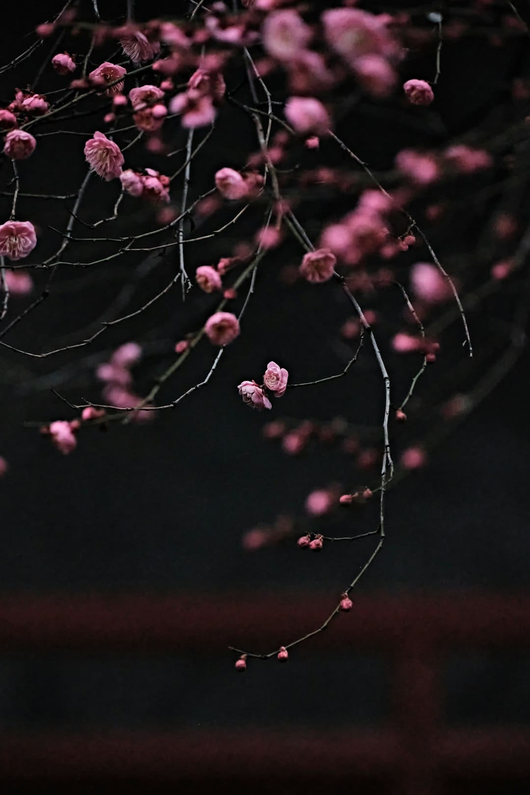 “尾牙”夜 泉州抄获85名“麻龟”